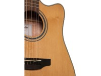 Takamine GD20CE-N Takamine GD20CE-N